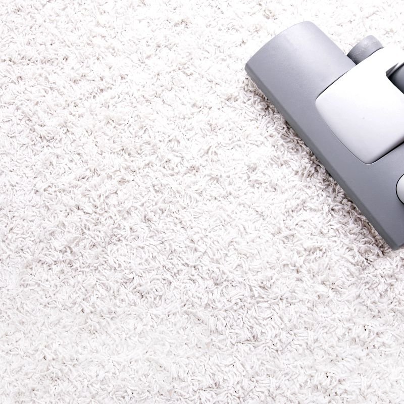 Carpet cleaner on carpet - Learn how to take care of your carpet with The Carpet Yard in McLean, VA